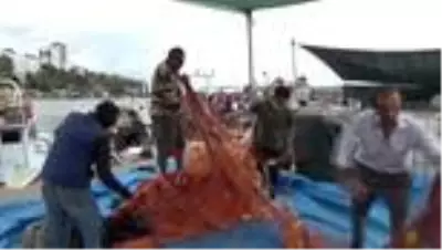 Batı Karadeniz'de balıkçılar poyraz nedeniyle limana demir attı Batı Karadeniz'de balıkçılar poyraz nedeniyle limana demir attı