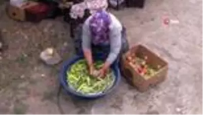 Bayburt'ta kadınların turşu mesaisi başladı Bayburt'ta kadınların turşu mesaisi başladı