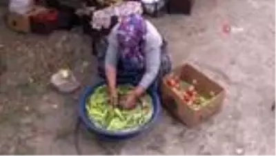 Bayburt'ta kadınların turşu mesaisi başladı Bayburt'ta kadınların turşu mesaisi başladı