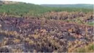 Bayrağı alevlere teslim etmediler - KASTAMONU Bayrağı alevlere teslim etmediler - KASTAMONU