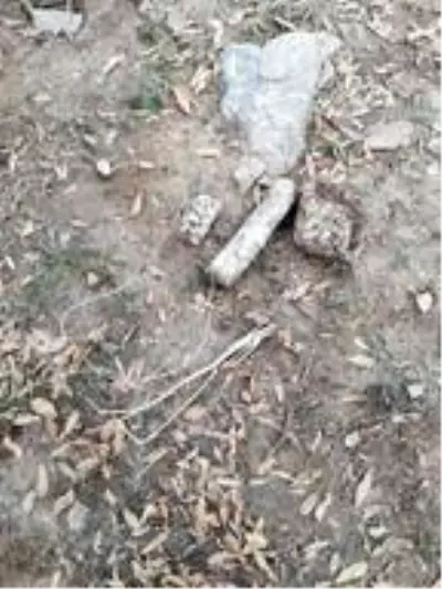 Bitlis'te, terör örgütünün tuzakladığı 3 EYP imha edildi Bitlis'te, terör örgütünün tuzakladığı 3 EYP imha edildi