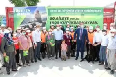 Büyükşehir Belediyesinin projesiyle 60 aileye toplam bin 500 küçükbaş hayvan verilecek Büyükşehir Belediyesinin projesiyle 60 aileye toplam bin 500 küçükbaş hayvan verilecek