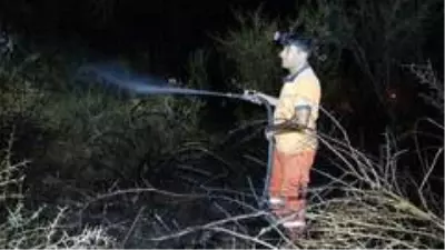 Son dakika haberleri | Çalılıkta çıkan yangın ormana sıçramadan söndürüldü Son dakika haberleri | Çalılıkta çıkan yangın ormana sıçramadan söndürüldü