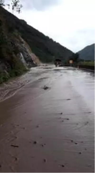 Doğu Karadeniz'de şiddetli yağış etkili oluyor