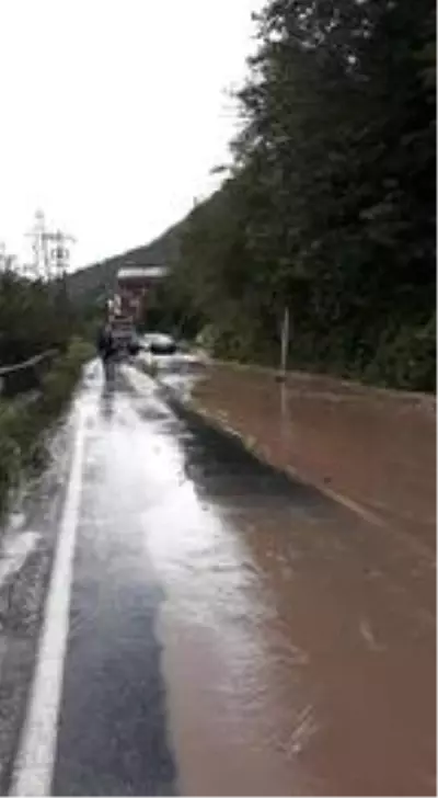 Doğu Karadeniz'de şiddetli yağış etkili oluyor