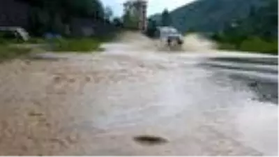 Doğu Karadeniz'de şiddetli yağış etkili oluyor