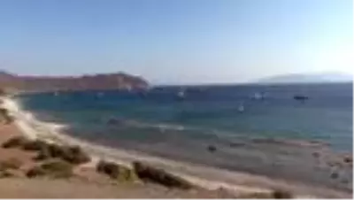 Dünya Ralli Şampiyonası'nın 5. yarışı Türkiye Rallisi Dünya Ralli Şampiyonası'nın 5. yarışı Türkiye Rallisi