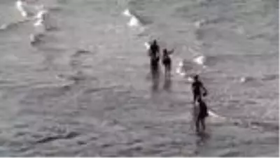 Dünya Ralli Şampiyonası'nın 5. yarışı Türkiye Rallisi Dünya Ralli Şampiyonası'nın 5. yarışı Türkiye Rallisi