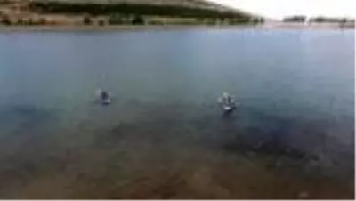 Son dakika haberleri... Ebeveyn ve çocuklar 'Palandöken Yaz Şenlikleri'nde doğayla buluştu Son dakika haberleri... Ebeveyn ve çocuklar 'Palandöken Yaz Şenlikleri'nde doğayla buluştu