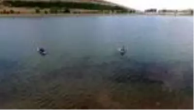 Son dakika haberleri... Ebeveyn ve çocuklar 'Palandöken Yaz Şenlikleri'nde doğayla buluştu Son dakika haberleri... Ebeveyn ve çocuklar 'Palandöken Yaz Şenlikleri'nde doğayla buluştu