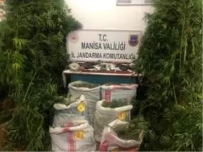 Manisa'da uyuşturucu operasyonu: 2 gözaltı Manisa'da uyuşturucu operasyonu: 2 gözaltı