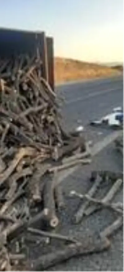 Odun yüklü kamyon yan yattı, 2 çocuk ağır yaralandı Odun yüklü kamyon yan yattı, 2 çocuk ağır yaralandı