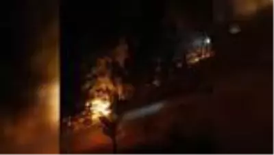 Son dakika haber | Ormanlık alanda çıkan yangın kontrol altına alındı Son dakika haber | Ormanlık alanda çıkan yangın kontrol altına alındı