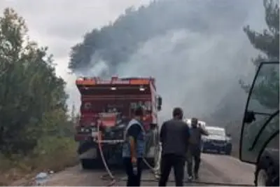 Otları temizlemek isterken ormanı yaktı Otları temizlemek isterken ormanı yaktı