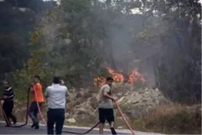 Otları temizlemek isterken ormanı yaktı Otları temizlemek isterken ormanı yaktı