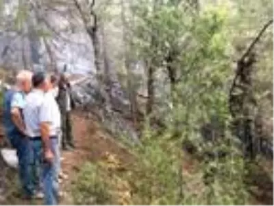 Pozantı'daki yangının kaderini 2 bin 300 metre tırmanan personel değiştirdi Pozantı'daki yangının kaderini 2 bin 300 metre tırmanan personel değiştirdi