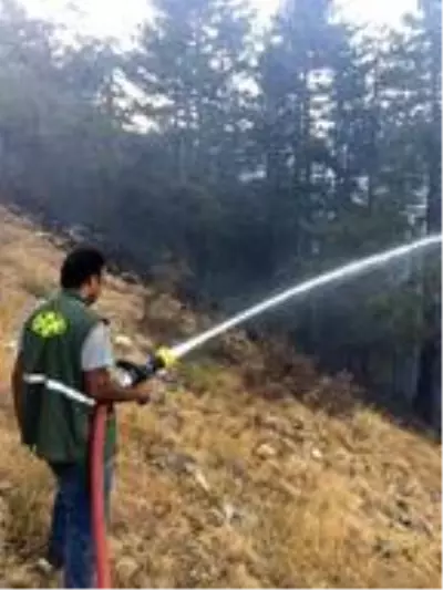 Pozantı'daki yangının kaderini 2 bin 300 metre tırmanan personel değiştirdi Pozantı'daki yangının kaderini 2 bin 300 metre tırmanan personel değiştirdi
