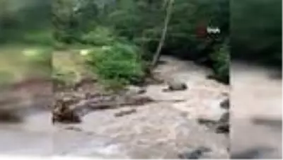 Sağanak yağış sonrası derelerde su seviyesi yükseldi, heyelan meydana geldi