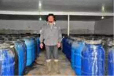 Sarıgöl'ün salamurası Avrupa ve Ortadoğu ülkelerinin sofralarını süslüyor Sarıgöl'ün salamurası Avrupa ve Ortadoğu ülkelerinin sofralarını süslüyor
