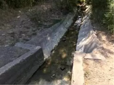 Sarımsaklı'da sular kesildi, tarladaki mahsuller kurudu Sarımsaklı'da sular kesildi, tarladaki mahsuller kurudu