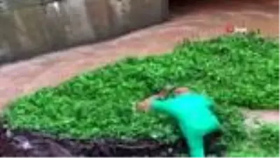 Şiddetli yağışta yolunu kaybedip su kanalına düşen karaca böyle kurtarıldı Şiddetli yağışta yolunu kaybedip su kanalına düşen karaca böyle kurtarıldı