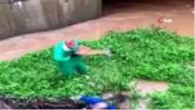 Şiddetli yağışta yolunu kaybedip su kanalına düşen karaca böyle kurtarıldı Şiddetli yağışta yolunu kaybedip su kanalına düşen karaca böyle kurtarıldı