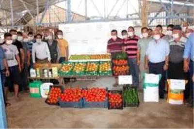 Tarlada 40 kuruşa düşen domatesin kilosu markette 5,95 liradan satılıyor Tarlada 40 kuruşa düşen domatesin kilosu markette 5,95 liradan satılıyor