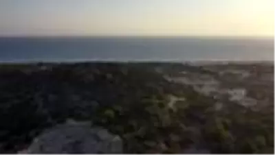 Uluslararası Patara 2020 Gran Fondo Bisiklet Yarışı Uluslararası Patara 2020 Gran Fondo Bisiklet Yarışı
