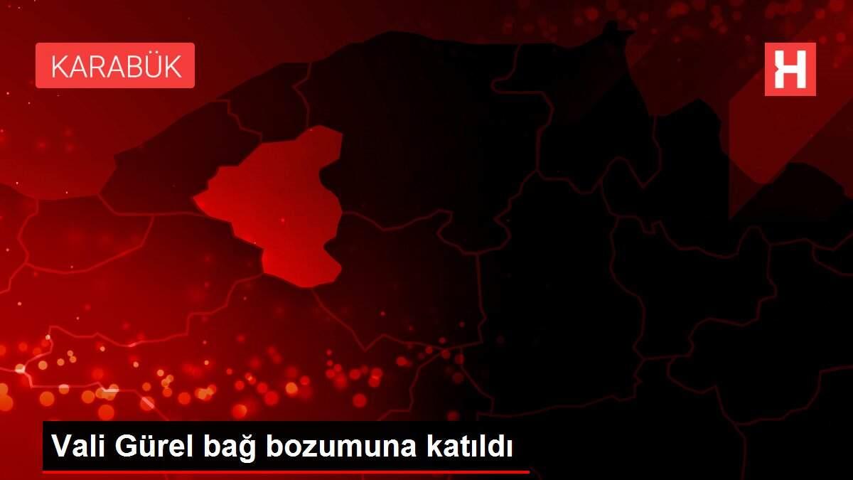 Vali Gürel bağ bozumuna katıldı Vali Gürel bağ bozumuna katıldı