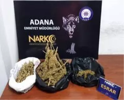 Adana'da 23 torbacı tutuklandı Adana'da 23 torbacı tutuklandı