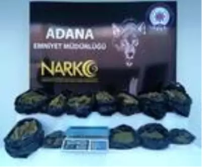 Adana'da 23 torbacı tutuklandı Adana'da 23 torbacı tutuklandı