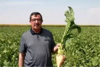 Ahmet Bestil: 'Şeker fabrikaları yaşatılmalı' Ahmet Bestil: 'Şeker fabrikaları yaşatılmalı'