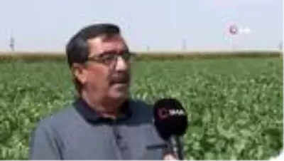 Ahmet Bestil: 'Şeker fabrikaları yaşatılmalı' Ahmet Bestil: 'Şeker fabrikaları yaşatılmalı'