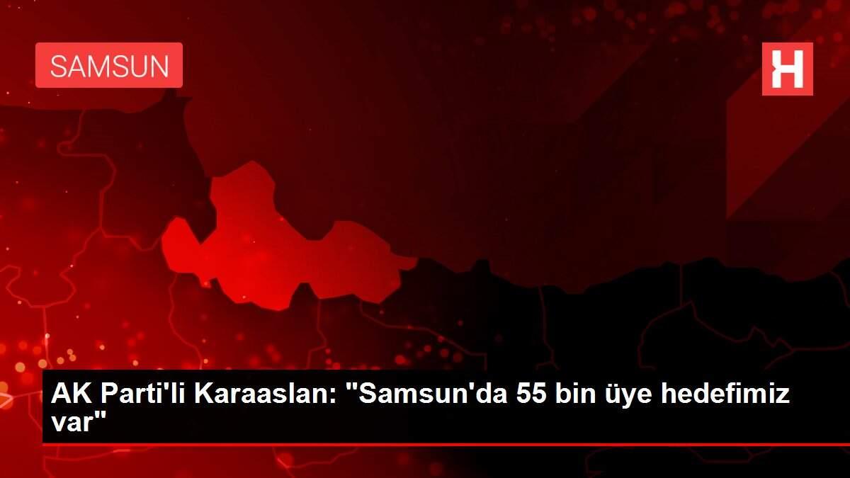 AK Parti'li Karaaslan: AK Parti'li Karaaslan: