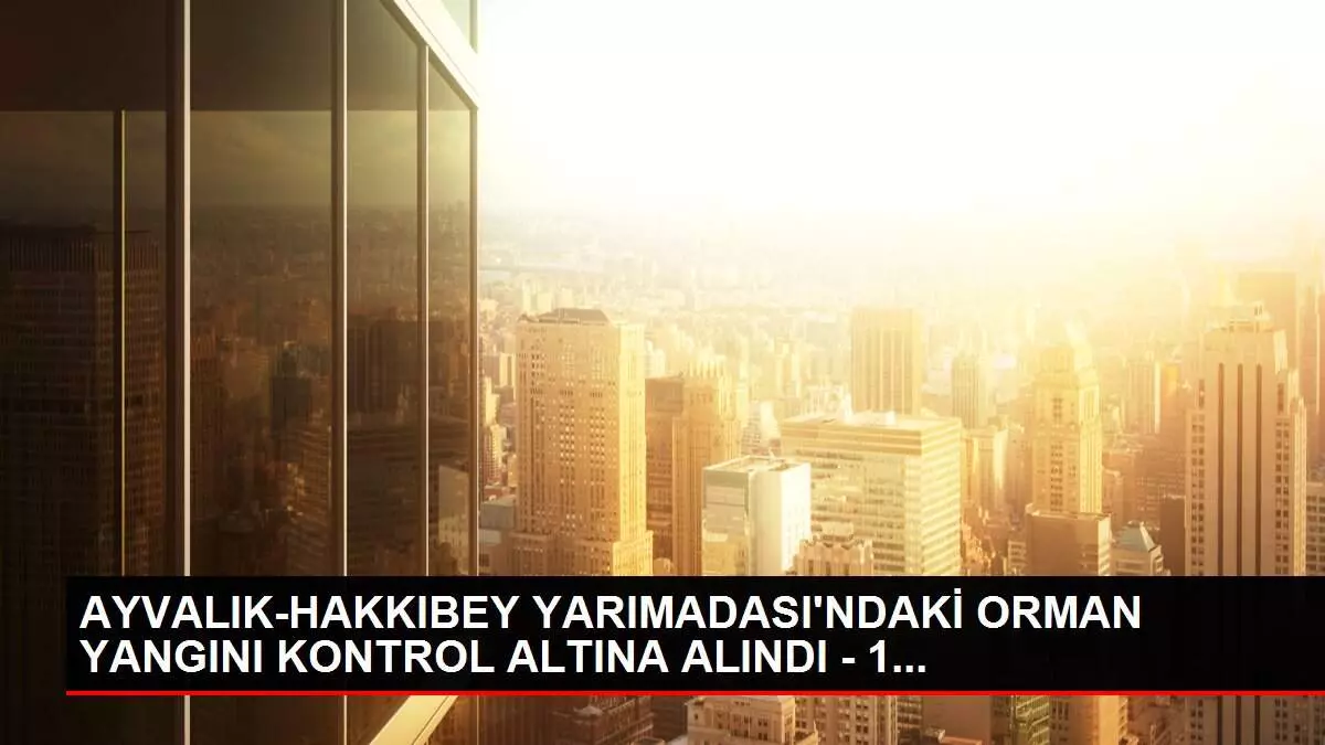 AYVALIK-HAKKIBEY YARIMADASI'NDAKİ ORMAN YANGINI KONTROL ALTINA ALINDI - 1... AYVALIK-HAKKIBEY YARIMADASI'NDAKİ ORMAN YANGINI KONTROL ALTINA ALINDI - 1...