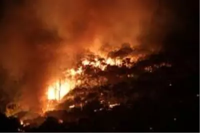 Ayvalık'ta orman yangını yazlık konutları tehdit etmeye devam ediyor Ayvalık'ta orman yangını yazlık konutları tehdit etmeye devam ediyor