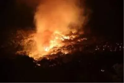 Ayvalık'ta orman yangını yazlık konutları tehdit etmeye devam ediyor Ayvalık'ta orman yangını yazlık konutları tehdit etmeye devam ediyor
