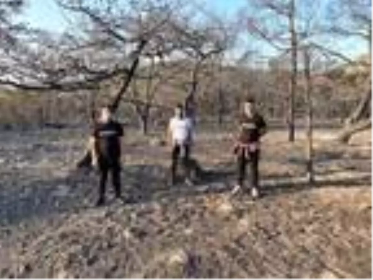 Son Dakika | Ayvalık'taki orman yangınında kara tablo sabah ortaya çıktı (4)