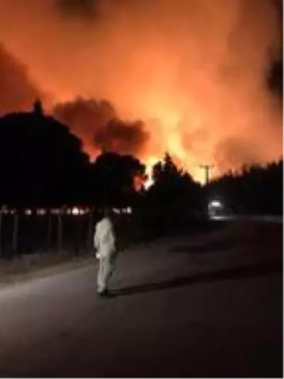 DHA YURT BÜLTENİ - 22 DHA YURT BÜLTENİ - 22