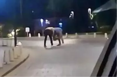 Yoldan geçenlerin güreş yaptığını sandığı iki kişinin kavga ettiği ortaya çıktı Yoldan geçenlerin güreş yaptığını sandığı iki kişinin kavga ettiği ortaya çıktı