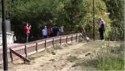 HES koduyla girilen Gölcük Tabiat Parkı'na yoğun ilgi HES koduyla girilen Gölcük Tabiat Parkı'na yoğun ilgi