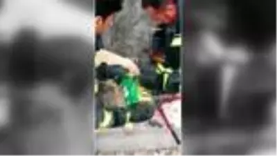 Konserve kutusuna kafası sıkışan köpeği itfaiye kurtardı Konserve kutusuna kafası sıkışan köpeği itfaiye kurtardı