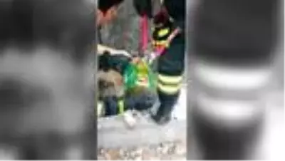 Konserve kutusuna kafası sıkışan köpeği itfaiye kurtardı Konserve kutusuna kafası sıkışan köpeği itfaiye kurtardı