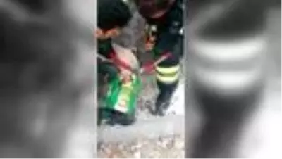 Konserve kutusuna kafası sıkışan köpeği itfaiye kurtardı Konserve kutusuna kafası sıkışan köpeği itfaiye kurtardı