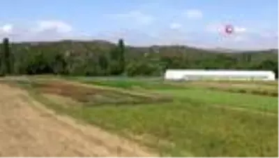 Köylü 'Yeni Sanayi Sitesi'ne karşı arazilerine sahip çıktı Köylü 'Yeni Sanayi Sitesi'ne karşı arazilerine sahip çıktı