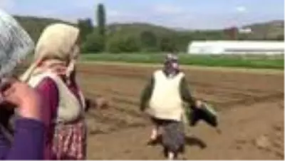 Köylü 'Yeni Sanayi Sitesi'ne karşı arazilerine sahip çıktı Köylü 'Yeni Sanayi Sitesi'ne karşı arazilerine sahip çıktı