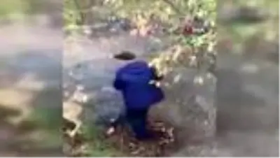 Çukura düşen çaresiz karacanın yardımına yaşlı çift yetişti Çukura düşen çaresiz karacanın yardımına yaşlı çift yetişti