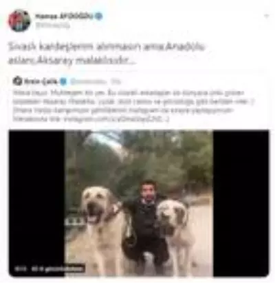 Valiler arasında 'Anadolu aslanı' atışması Valiler arasında 'Anadolu aslanı' atışması