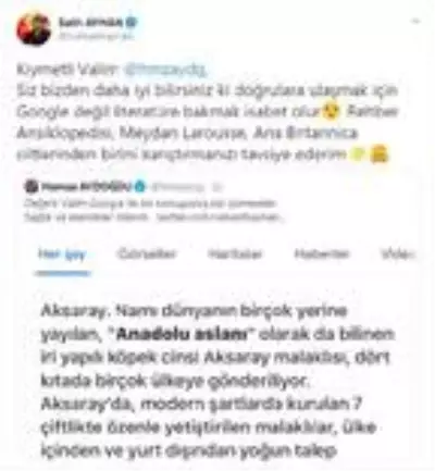 Valiler arasında 'Anadolu aslanı' atışması Valiler arasında 'Anadolu aslanı' atışması