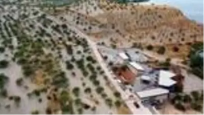 Zeugma Antik Kenti kapılarını bu kez nikah için araladı Zeugma Antik Kenti kapılarını bu kez nikah için araladı